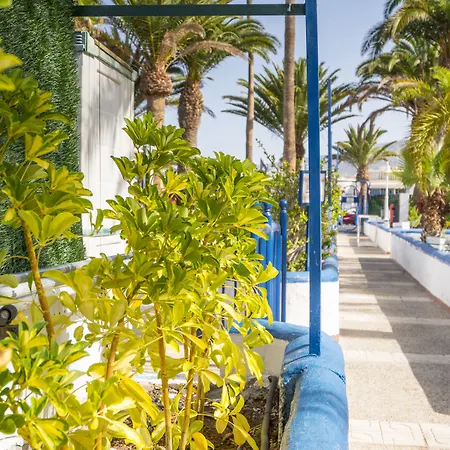 Puerto Colon Club אדחה