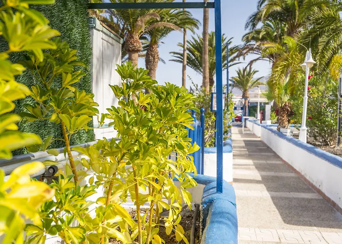 Puerto Colon Club אדחה